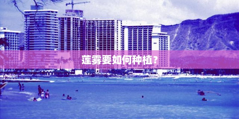 莲雾要如何种植？