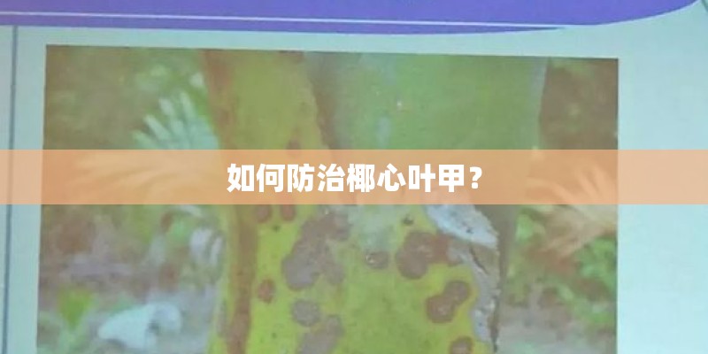 如何防治椰心叶甲？