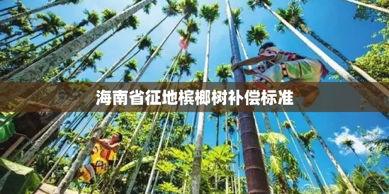 海南省征地槟榔树补偿标准