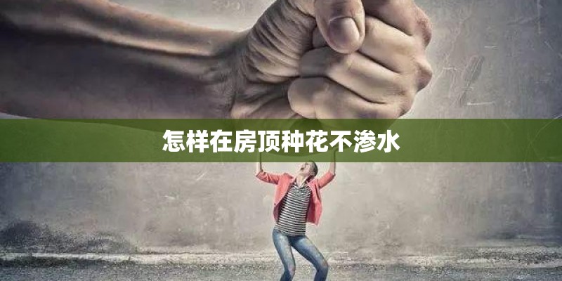 怎样在房顶种花不渗水