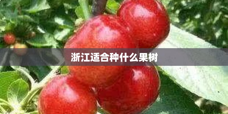 浙江适合种什么果树