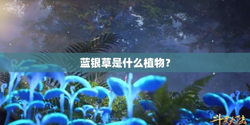 蓝银草是什么植物？