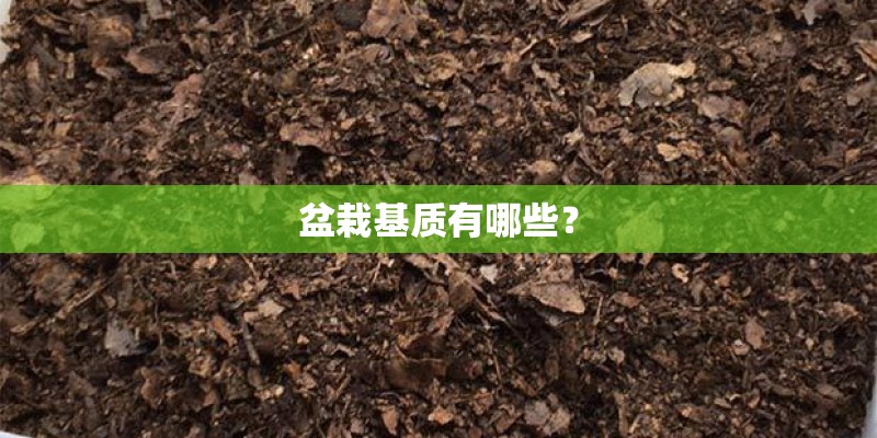 盆栽基质有哪些？