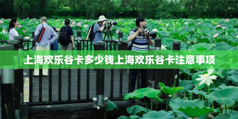 上海欢乐谷卡多少钱上海欢乐谷卡注意事项