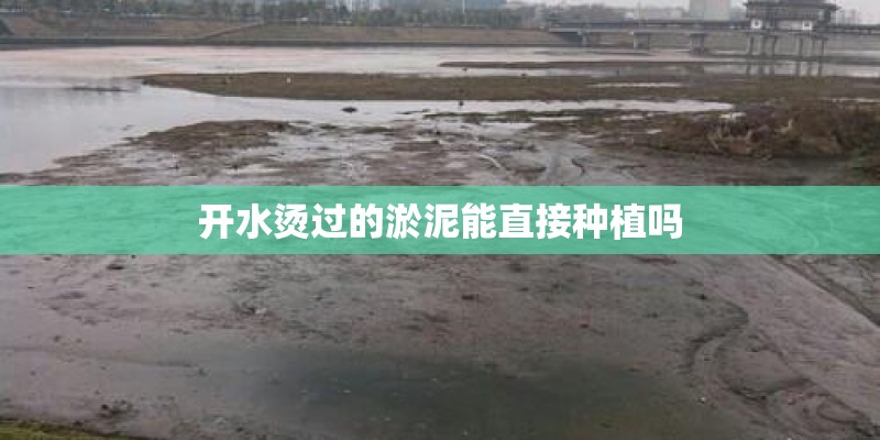 开水烫过的淤泥能直接种植吗