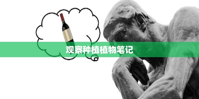 观察种植植物笔记