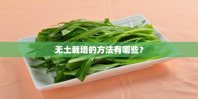 无土栽培的方法有哪些？
