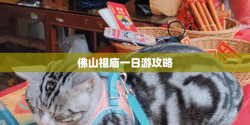 佛山祖庙一日游攻略